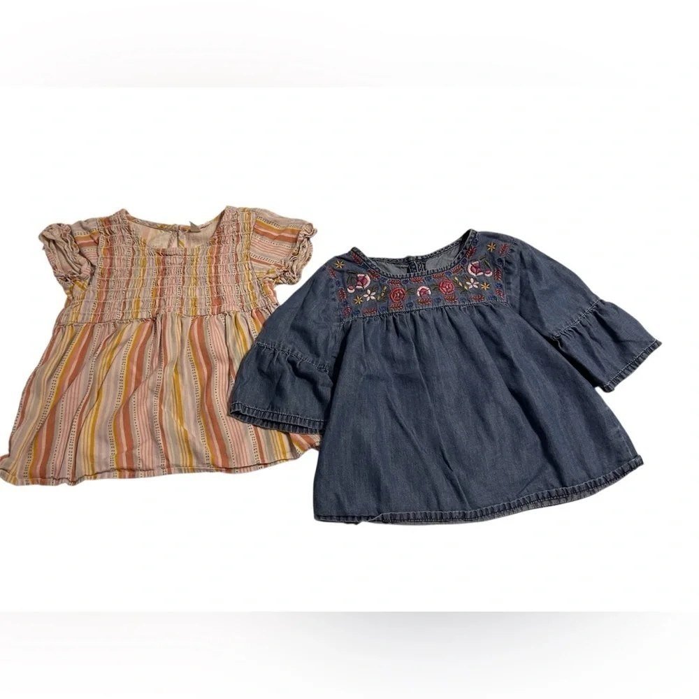 Embroidered Denim and Striped girls shirt bundle